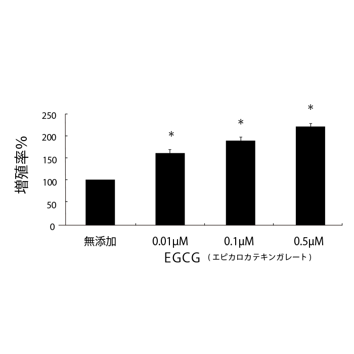 カテキンはヒト毛乳頭細胞の増殖を促進する
